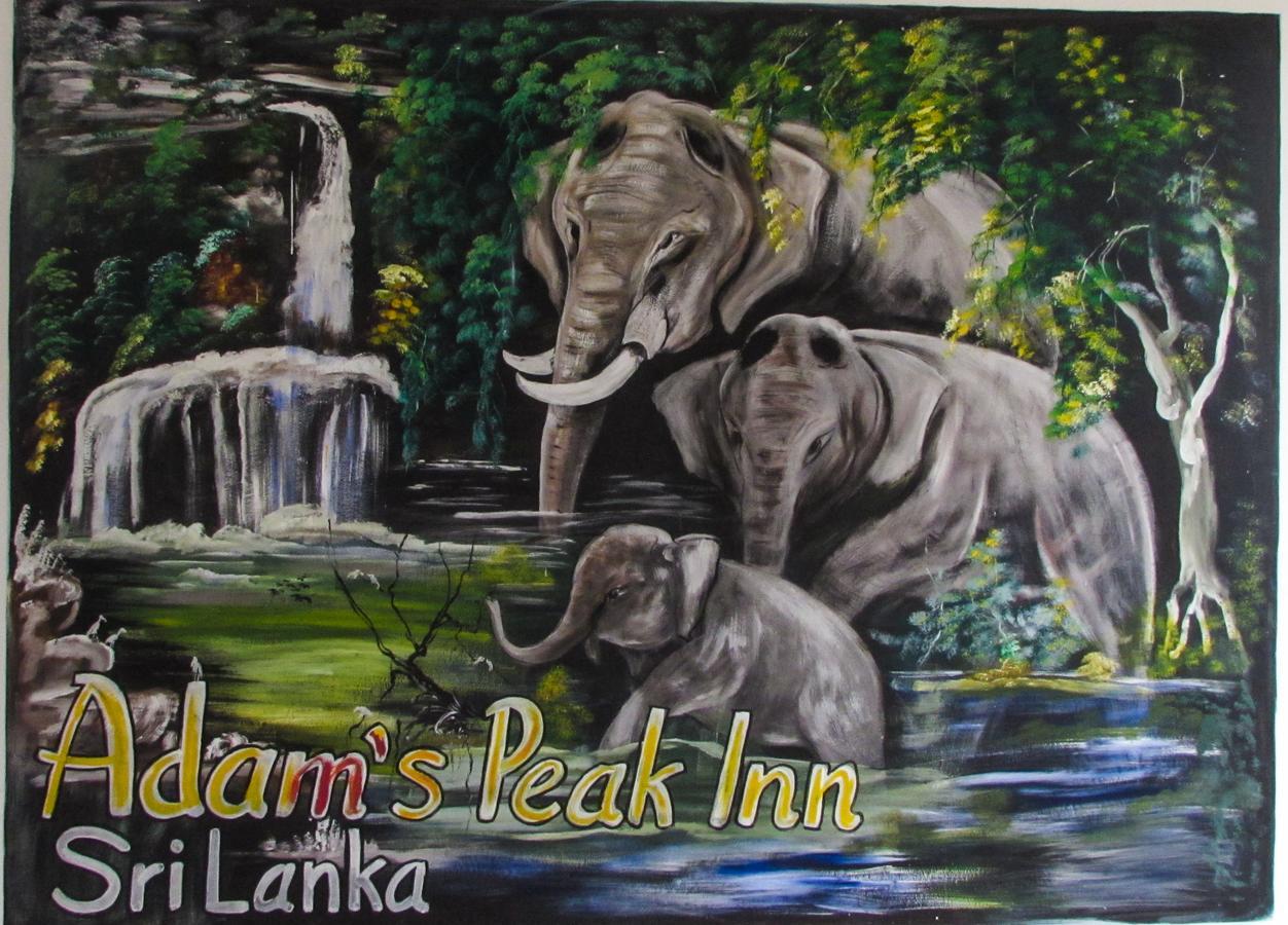 Adams Peak Inn Nallathanniya Zewnętrze zdjęcie